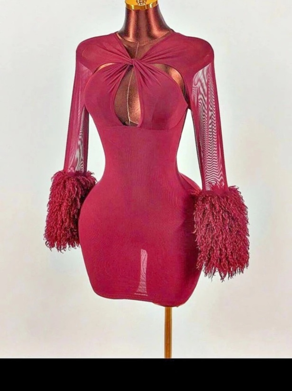Fully Dressed Wine Mesh Feather Mini Dress